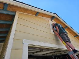 Best Siding Painting and Refinishing  in Venetian Vlage, IL